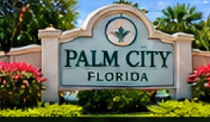 Illustrative Palm City service-area artwork