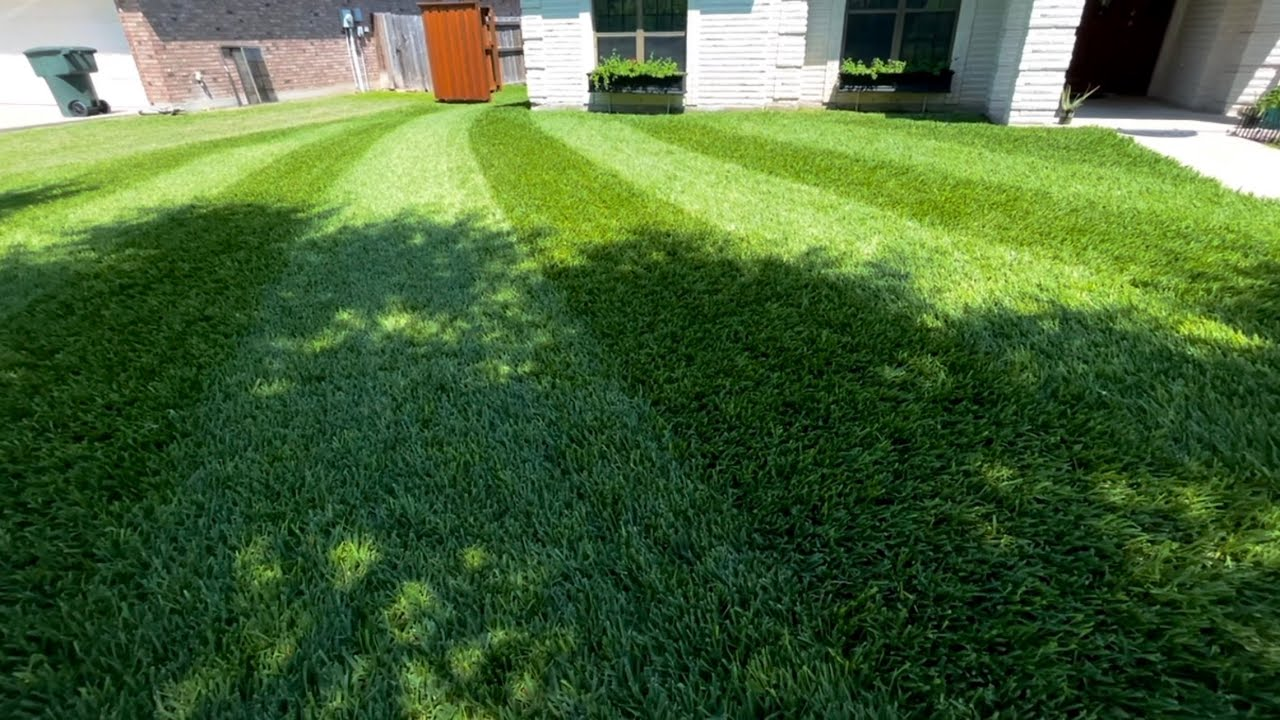 Paradise-style clean mowing pattern visual