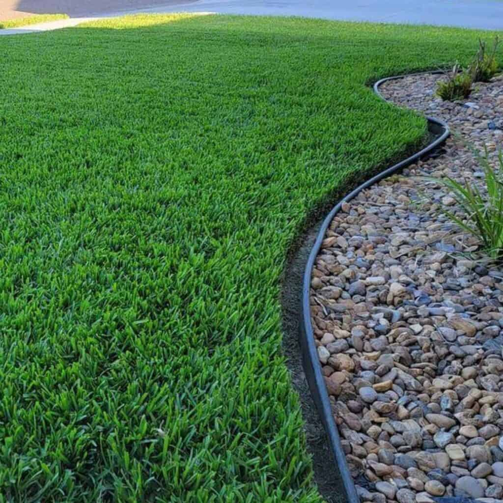 Paradise-style crisp lawn edge visual